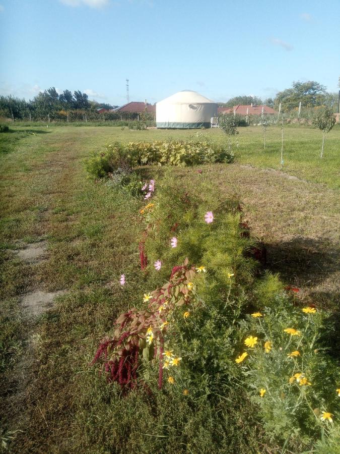 Jurtafarm Rackeve - A Nomad Luxus Otel Dış mekan fotoğraf